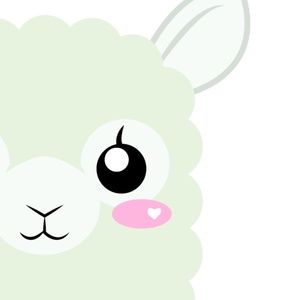 Meet your Posher, Khasi